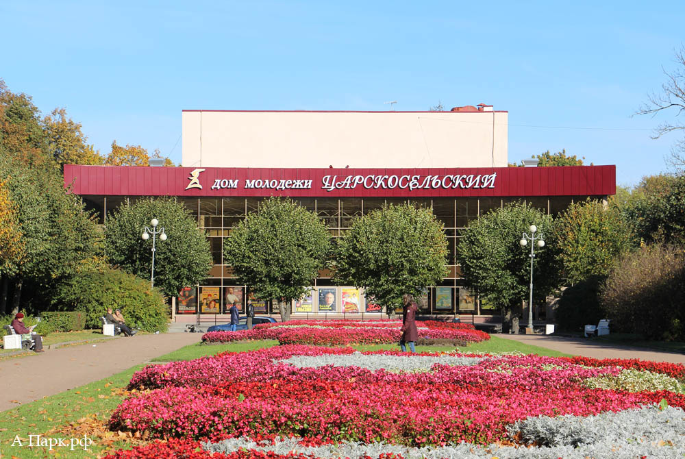 Магазейная