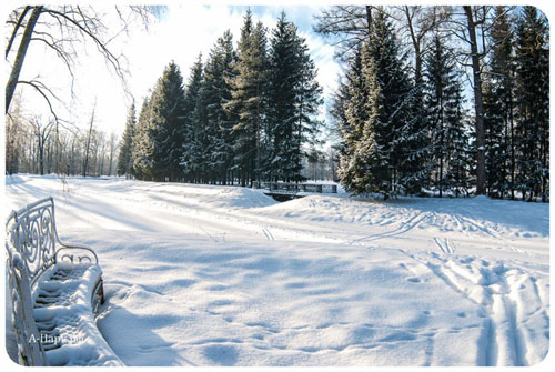 Скамейка в парке